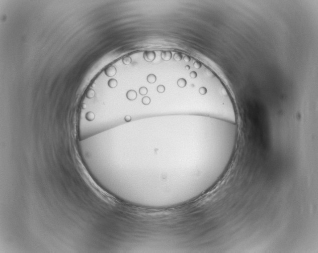 X0000059061195200511041720