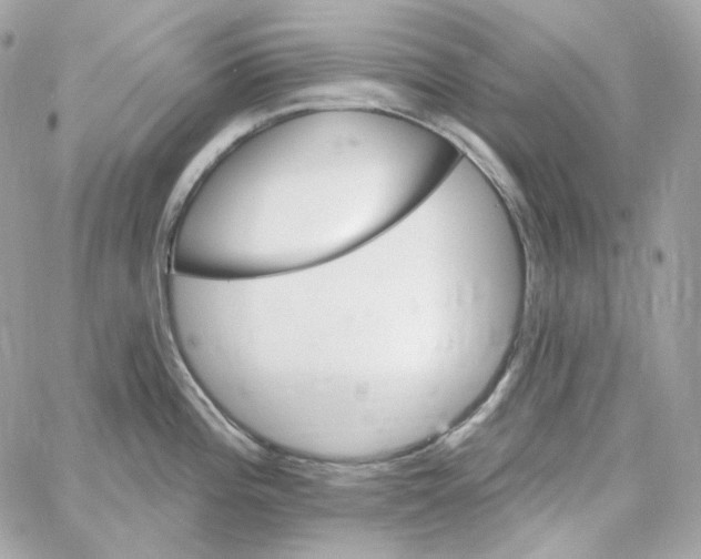 X0000059061196200511041720