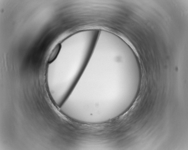 X0000059061197200511041720