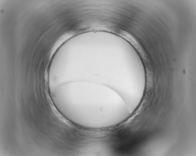 X0000059061198200511041720