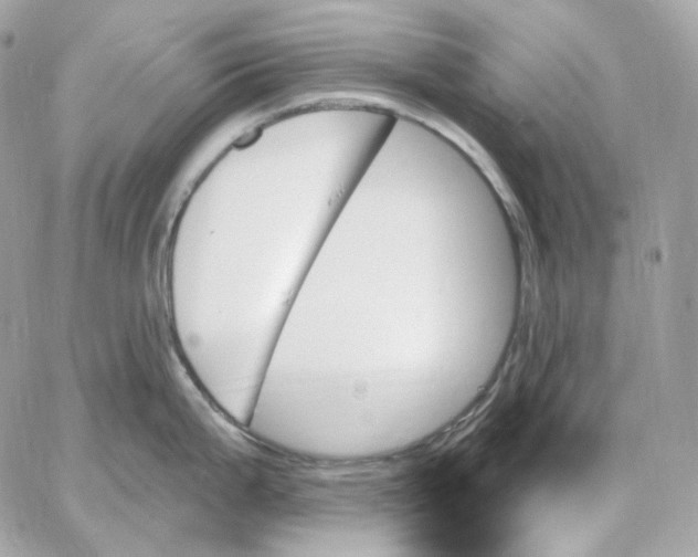 X0000059061199200511041720