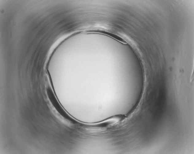 X0000059061200200511041720