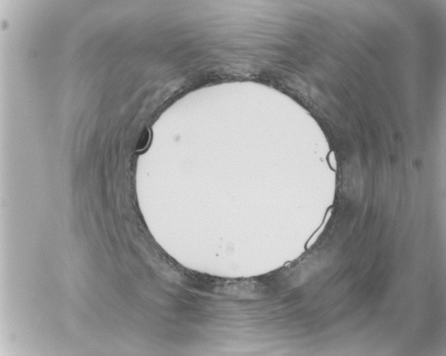 X0000059061201200511041719