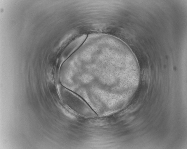 X0000059061202200511041719