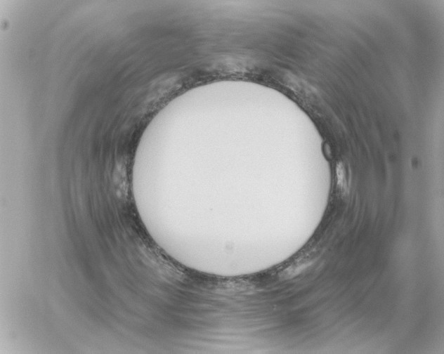 X0000059061203200511041719