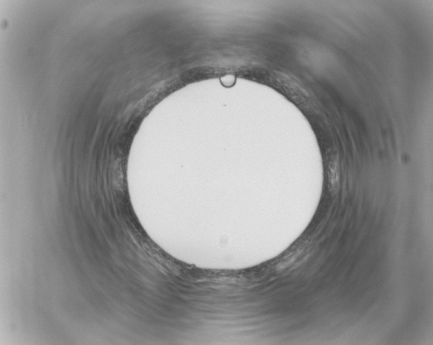 X0000059061204200511041719