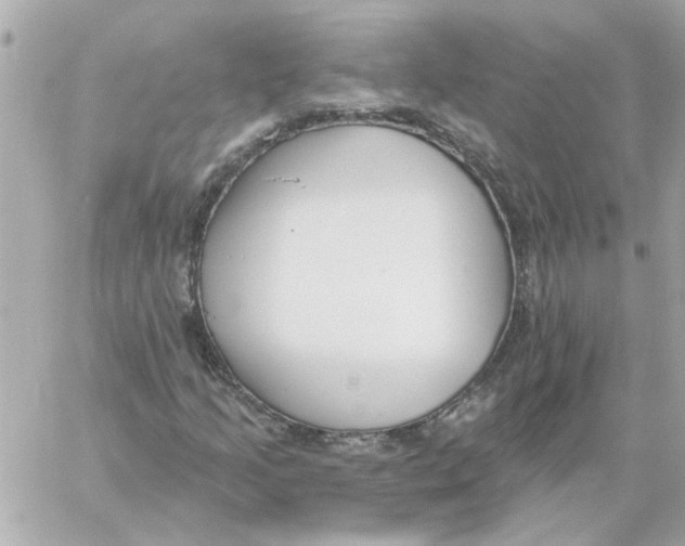 X0000059061205200511041719