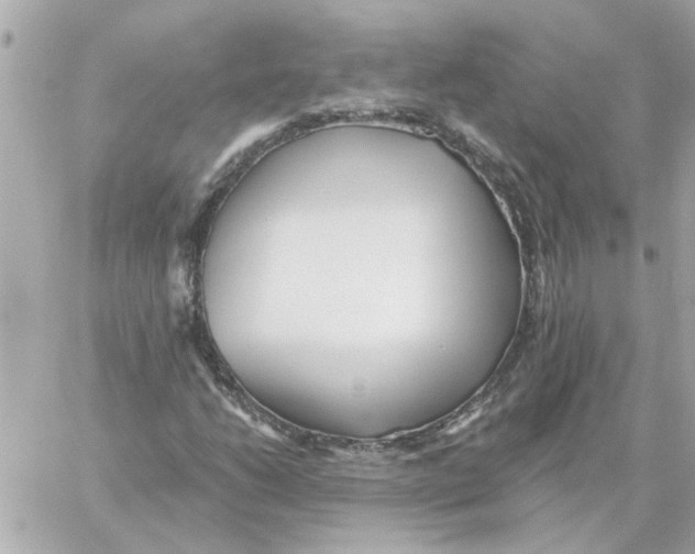 X0000059061206200511041719