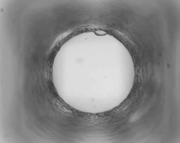 X0000059061207200511041719