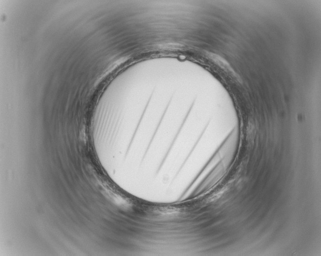 X0000059061209200511041720