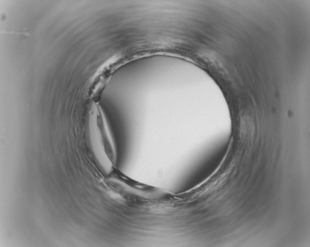 X0000059061210200511041720