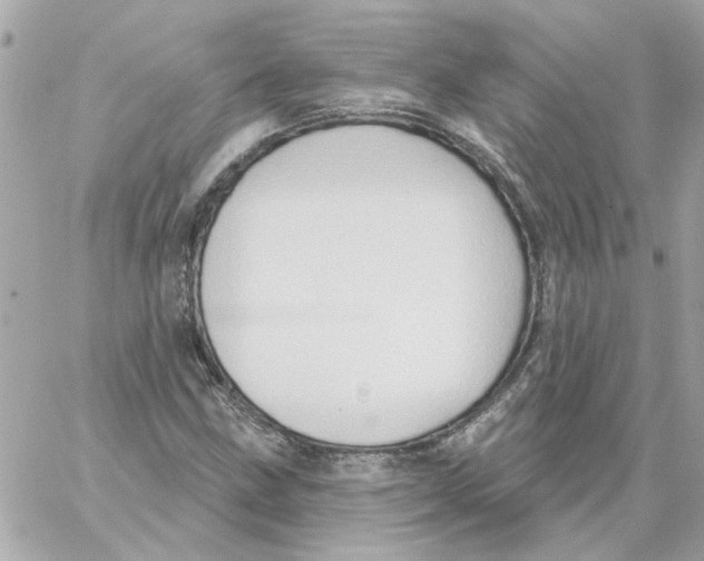 X0000059061211200511041720