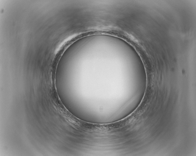 X0000059061214200511041720