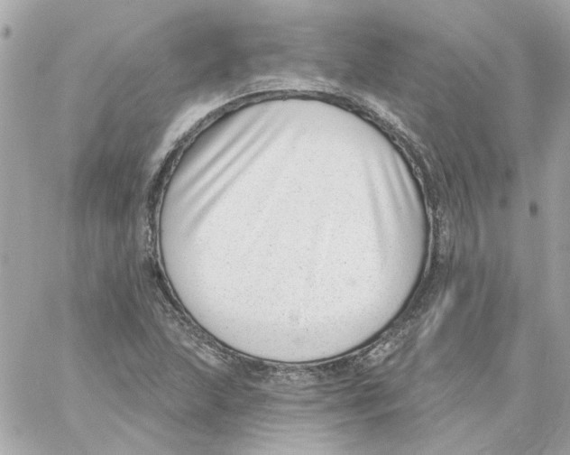 X0000059061215200511041720