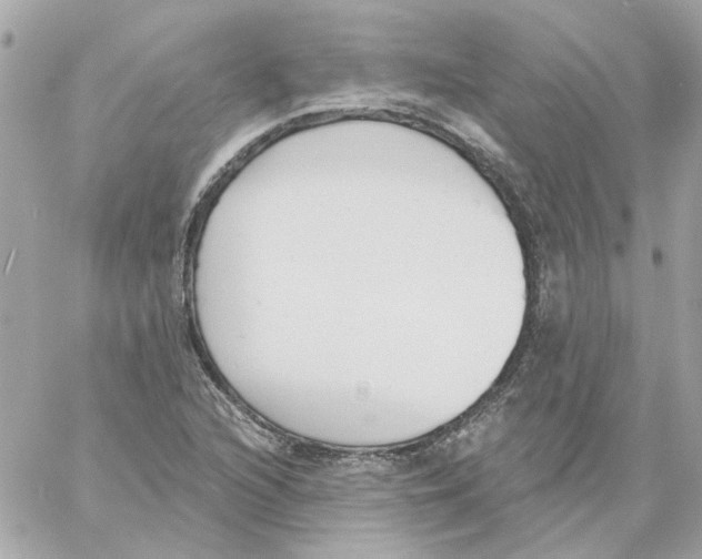 X0000059061216200511041720