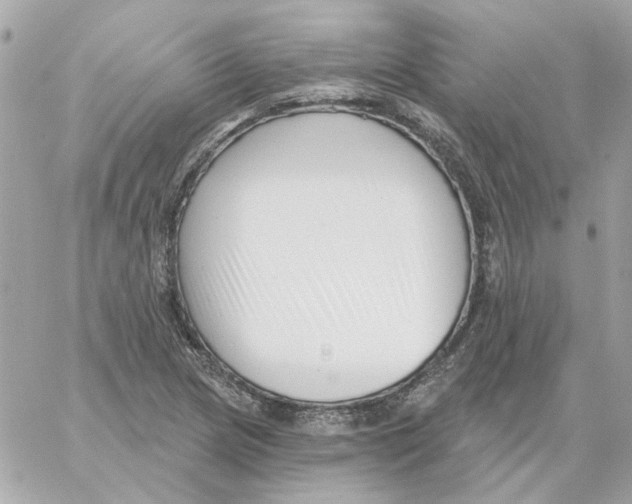 X0000059061217200511041720