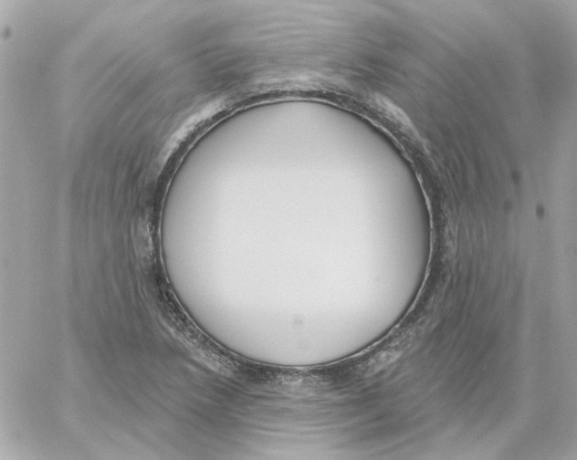 X0000059061218200511041720