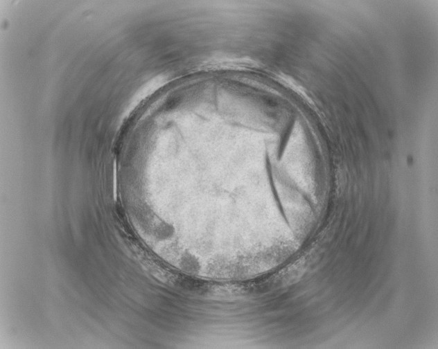 X0000059061219200511041720