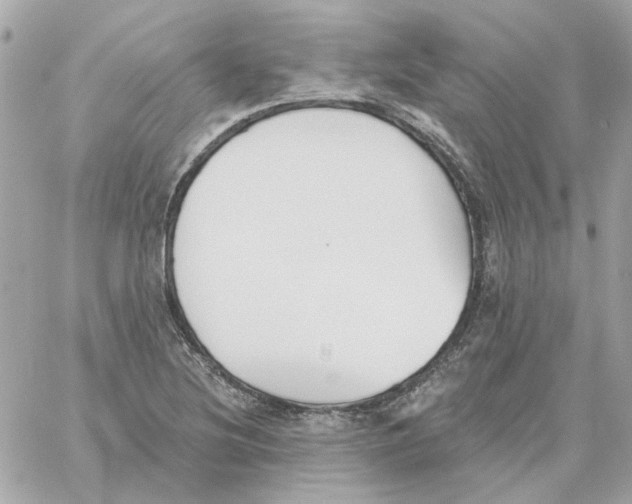 X0000059061220200511041720