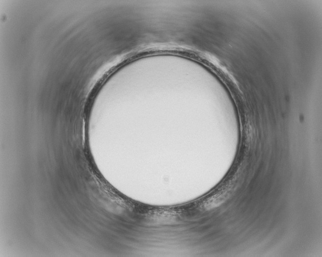 X0000059061221200511041720