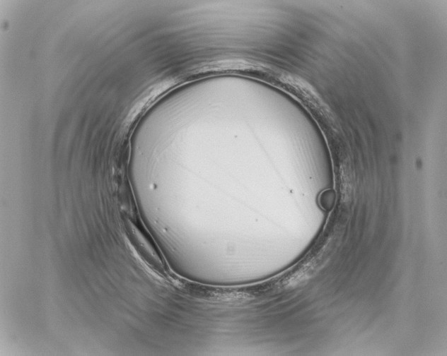 X0000059061225200511041720