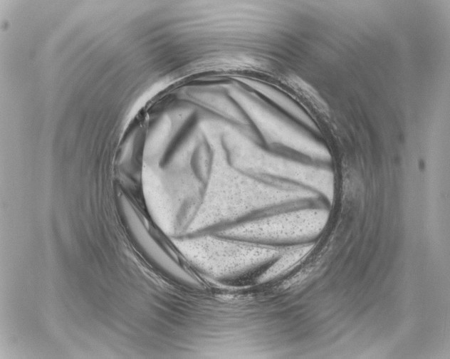 X0000059061226200511041720