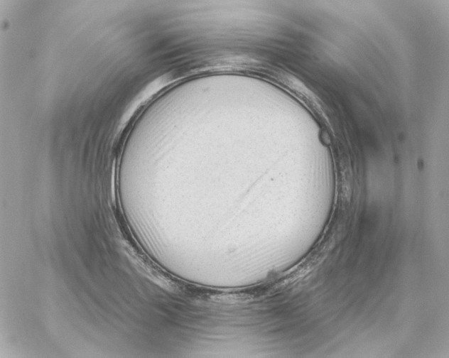 X0000059061227200511041720