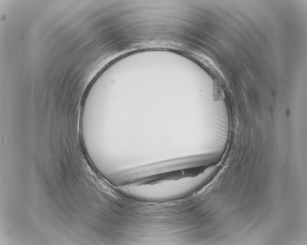 X0000059061228200511041720