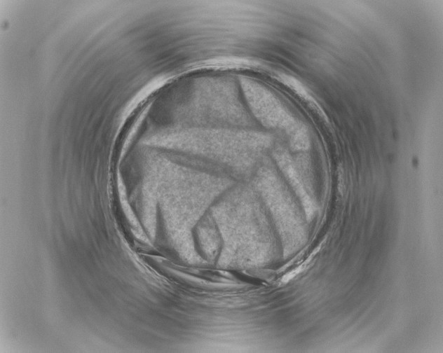 X0000059061229200511041720