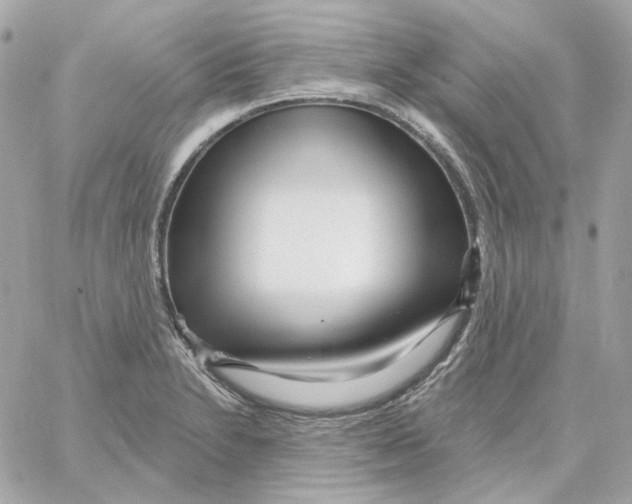 X0000059061230200511041720