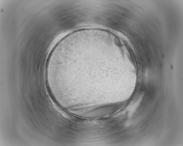 X0000059061231200511041720