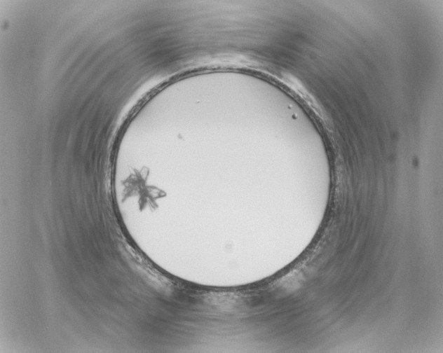 X0000059061232200511041720