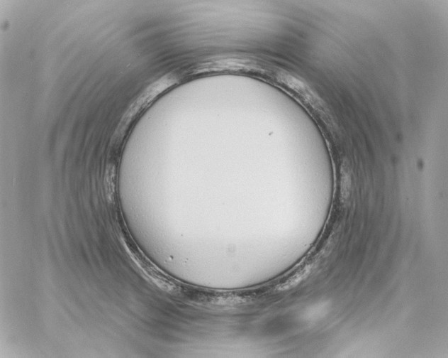 X0000059061233200511041720