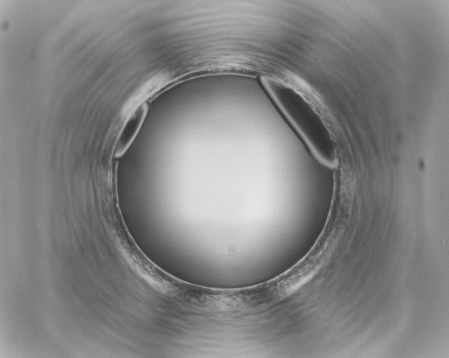 X0000059061234200511041720