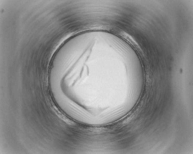 X0000059061236200511041720