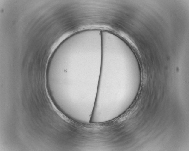 X0000059061237200511041720