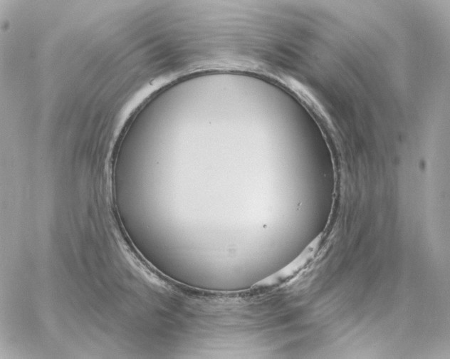 X0000059061238200511041720