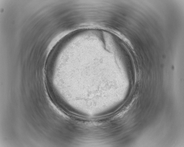 X0000059061239200511041720