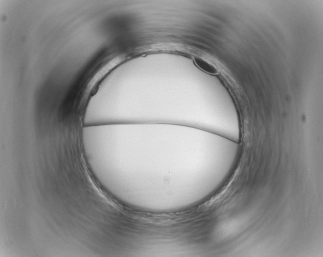 X0000059061241200511041720