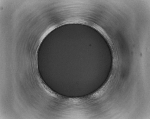 X0000059061242200511041720