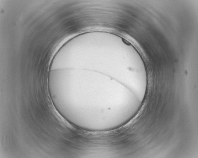 X0000059061244200511041720