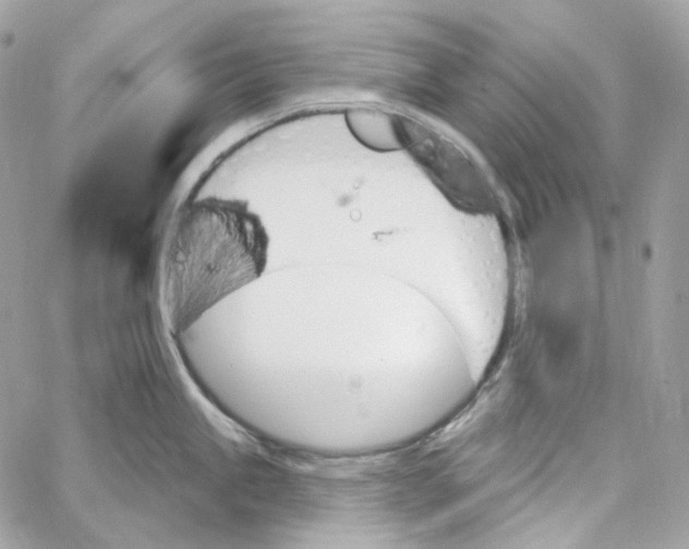 X0000059061245200511041720