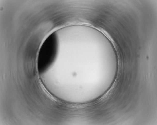 X0000059061246200511041720