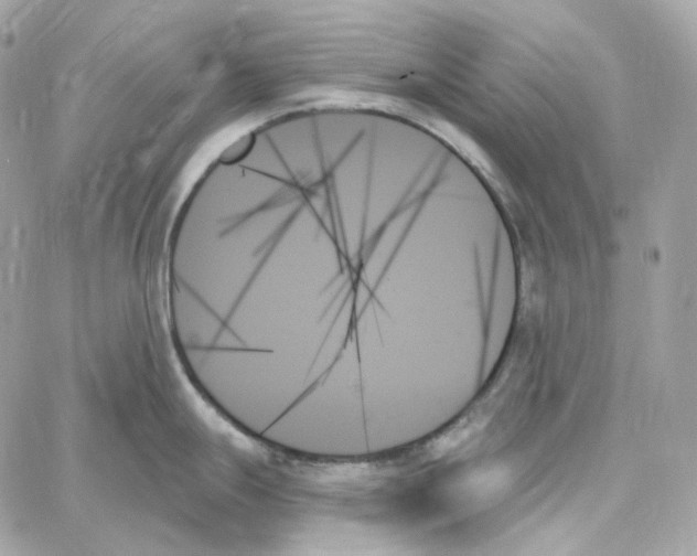 X0000059061247200511041720