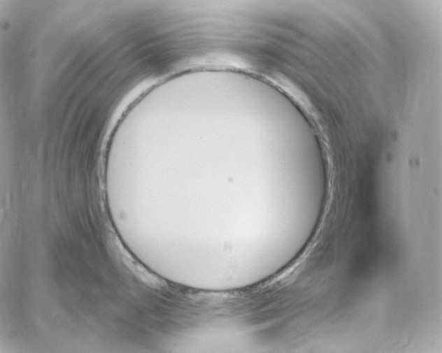 X0000059061248200511041720