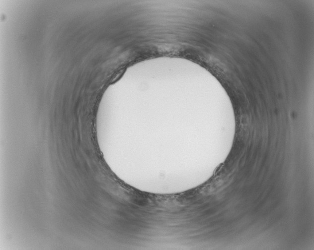 X0000059061249200511041719