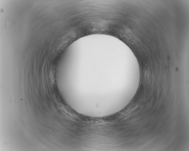 X0000059061250200511041719