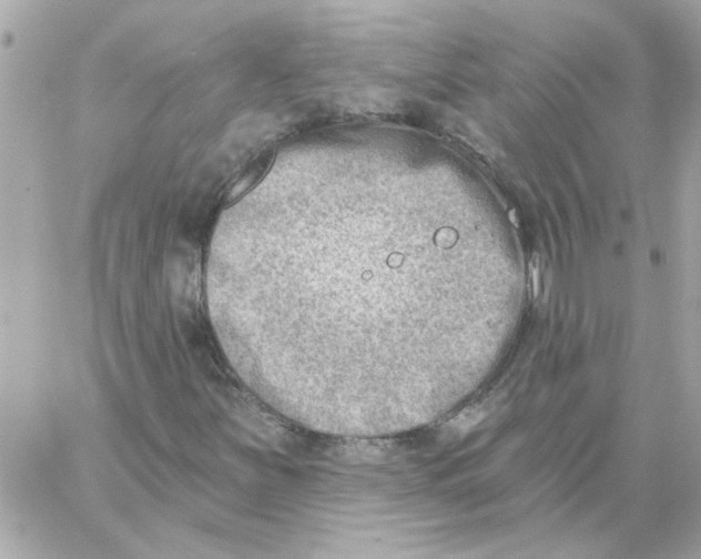 X0000059061251200511041719