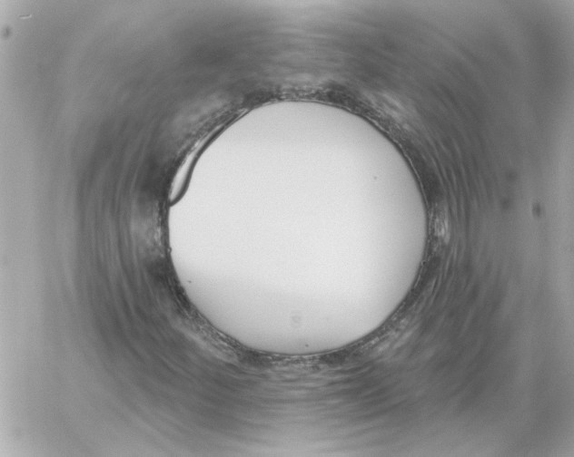 X0000059061252200511041719