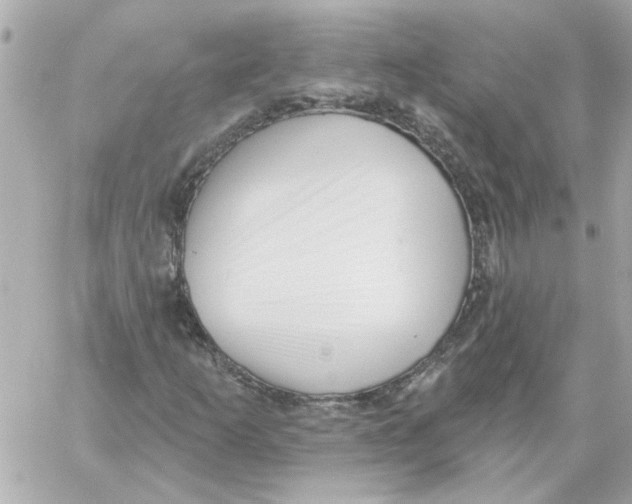 X0000059061253200511041719